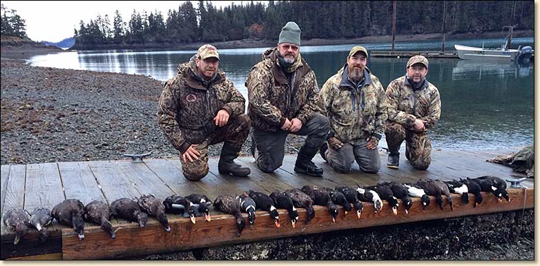 alaska sea duck hunting